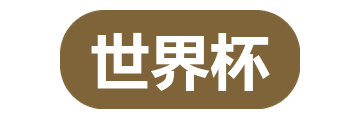 世界杯